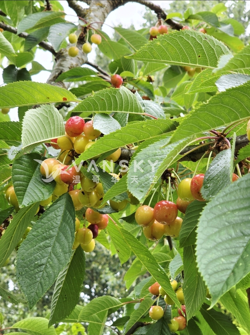 260810233501_39348.jpg
