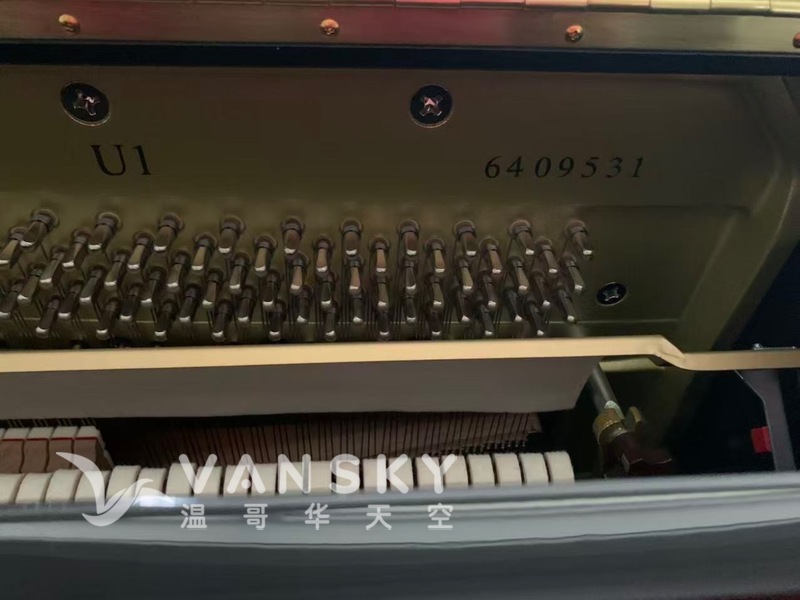 260702170325_667.jpeg