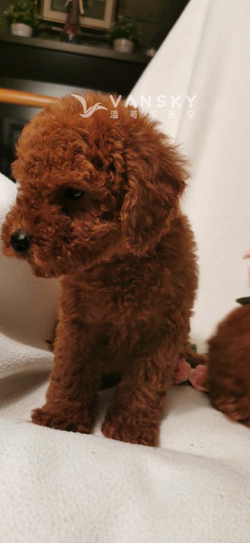 231216183852_mmexport1668389307361.jpg