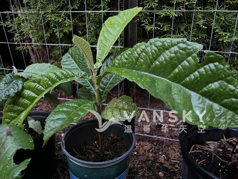 260707190421_WechatIMG11.jpg
