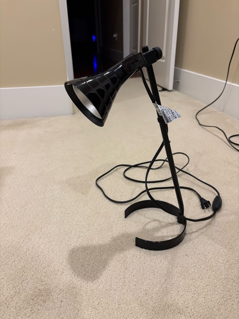 260825195933_1787642197-compressed-IMG_7270.jpg