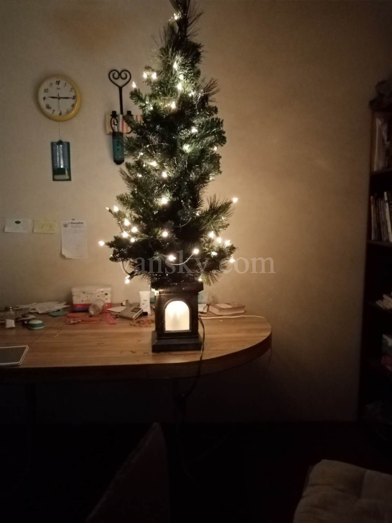 201025104243_lights.jpg