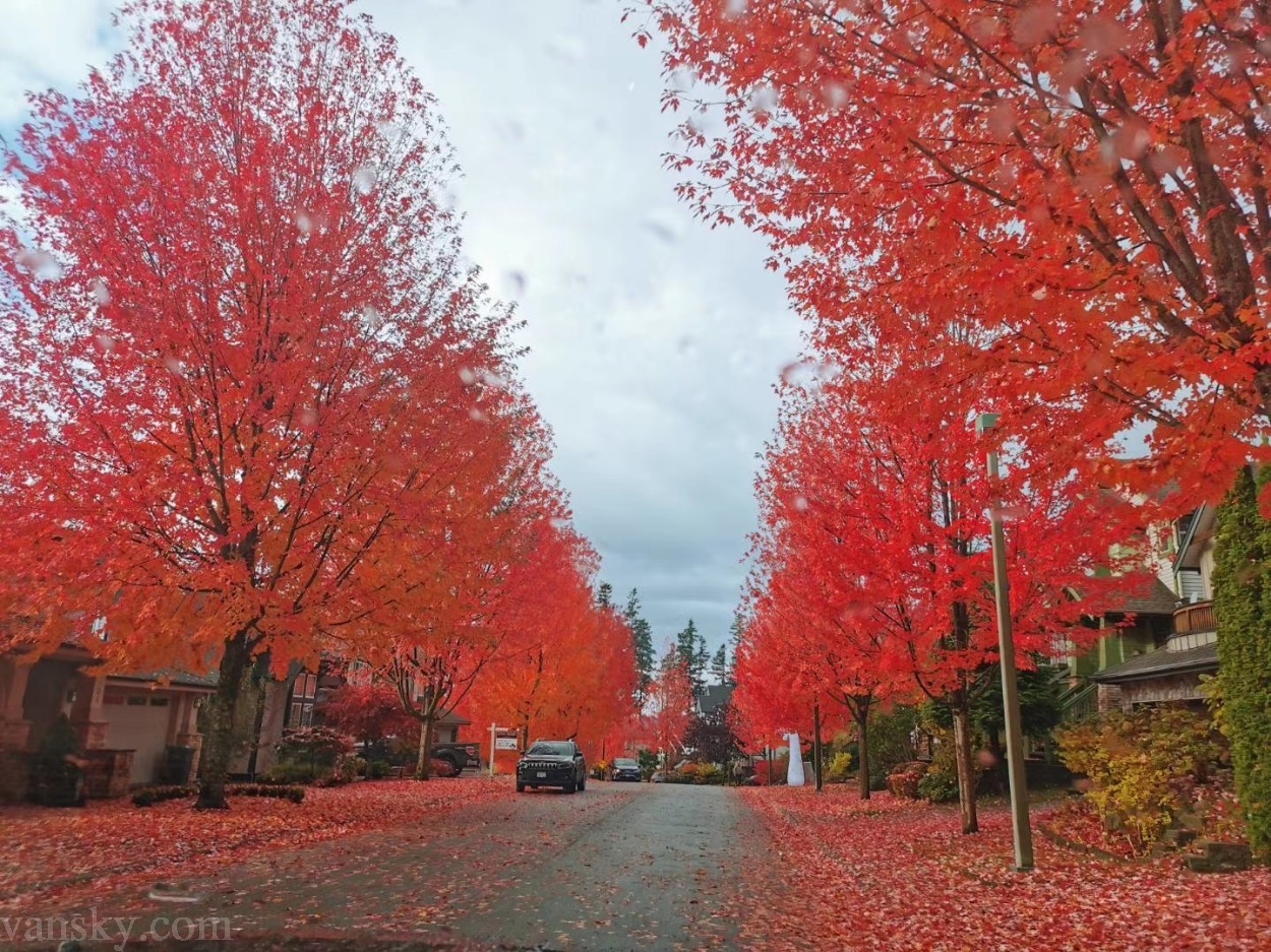 明亮安静雅房两室一厅
