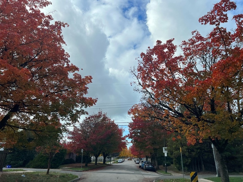 温西一房一厅出租