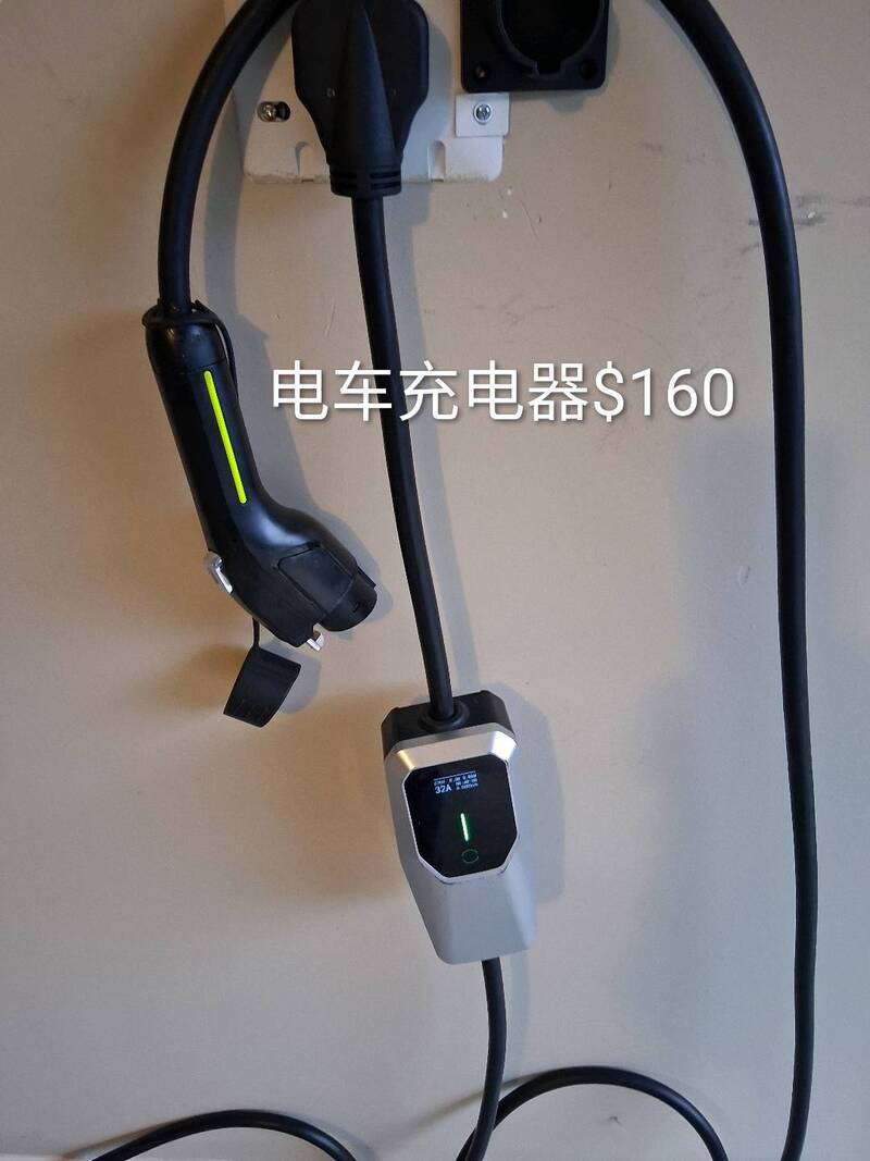 TeslaX米其林雪胎275/45R20