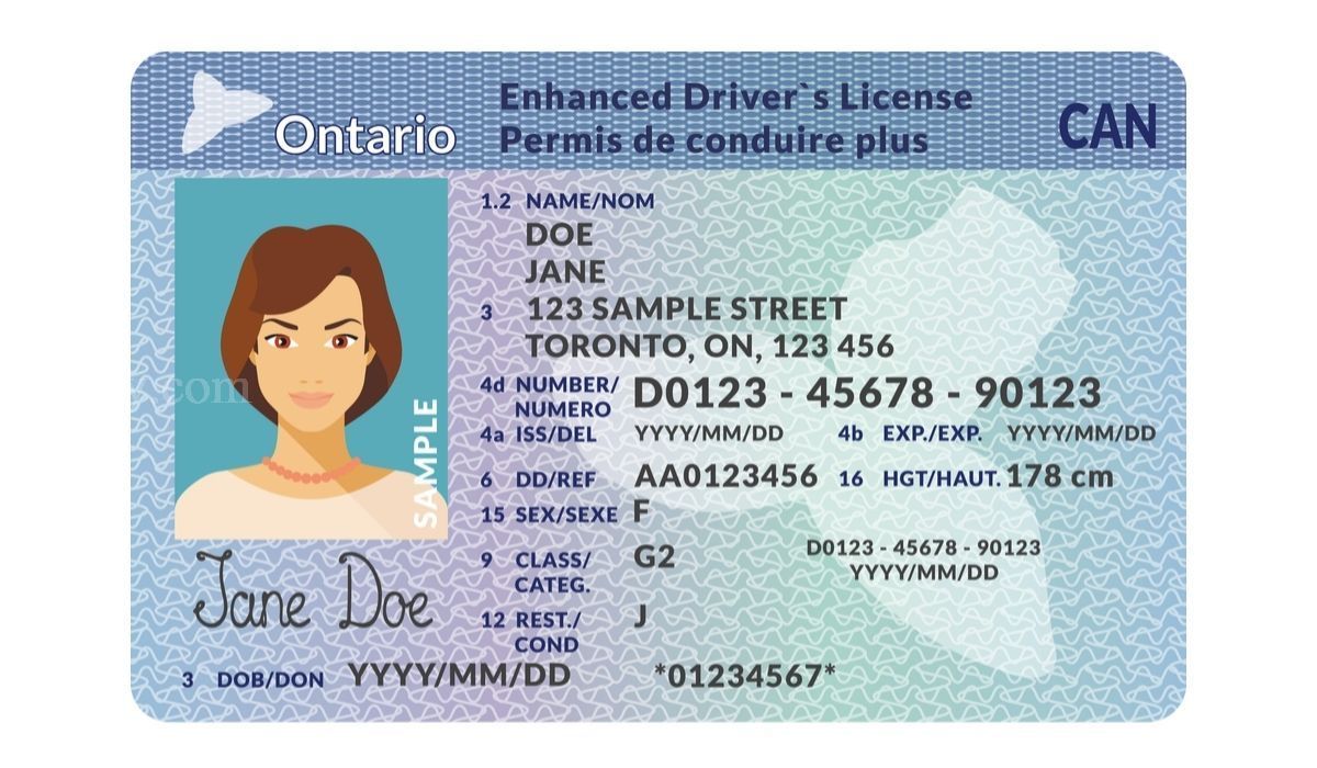 220216140044_Canadian-RV-Driver-s-License-1.jpeg