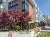 $3000/月 3房3卫2 停车位  全新Townhouse - 素里 