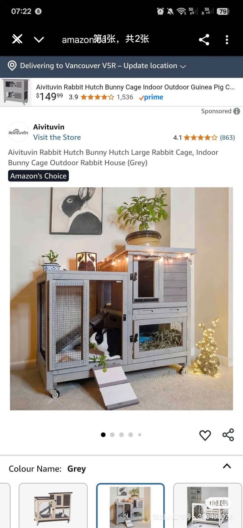 兔子 & 豚鼠豪华别墅