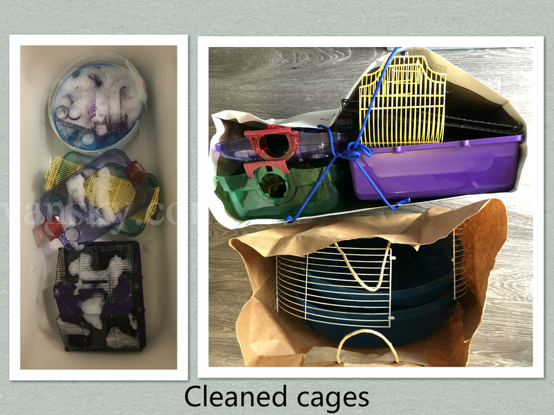200927202101_cages_cleaned.jpg